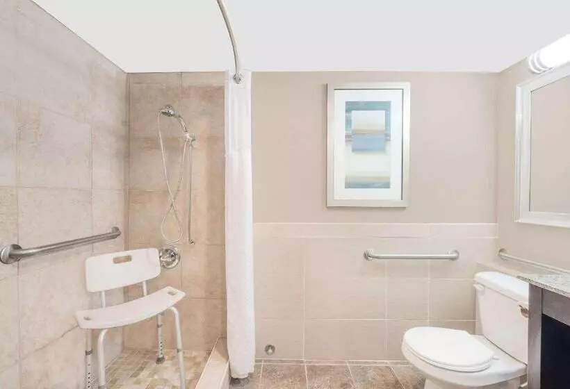 اتاق استاندارد با تخت بزرگ برای معلولان, Wyndham Garden Midland