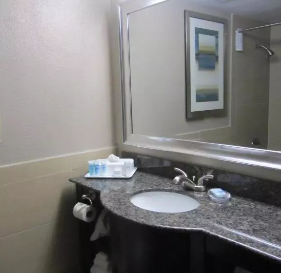 اتاق سوپریور, Wyndham Garden Midland