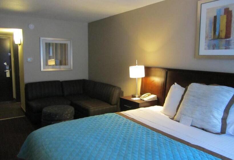 غرفة قياسية سرير كينج, Wyndham Garden Midland