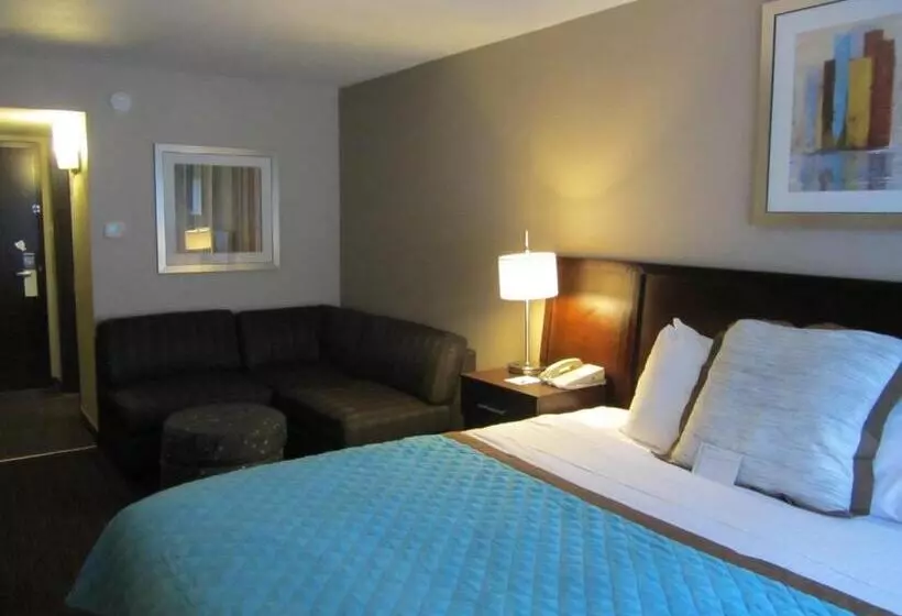 اتاق استاندارد با تخت بزرگ, Wyndham Garden Midland