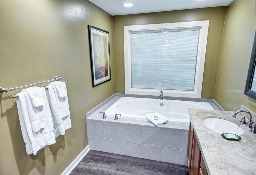 套房, Orange Tree Resort