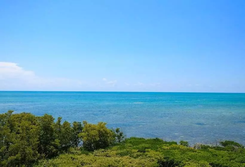 オーシャンビュースイート, Ocean Pointe Suites At Key Largo