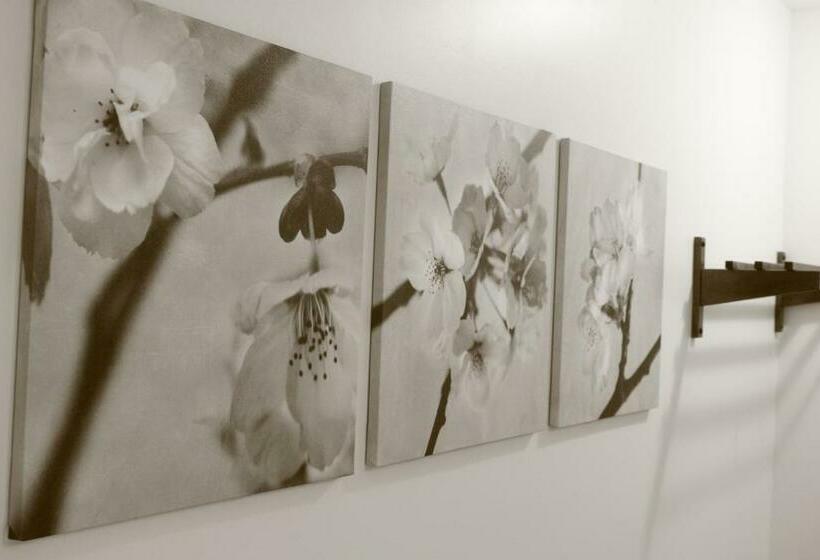 带2个双人床的标准工作室, Collins