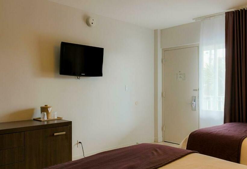 带2个双人床的标准工作室, Collins