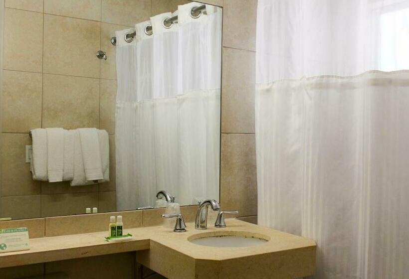 带2个双人床的标准工作室, Collins