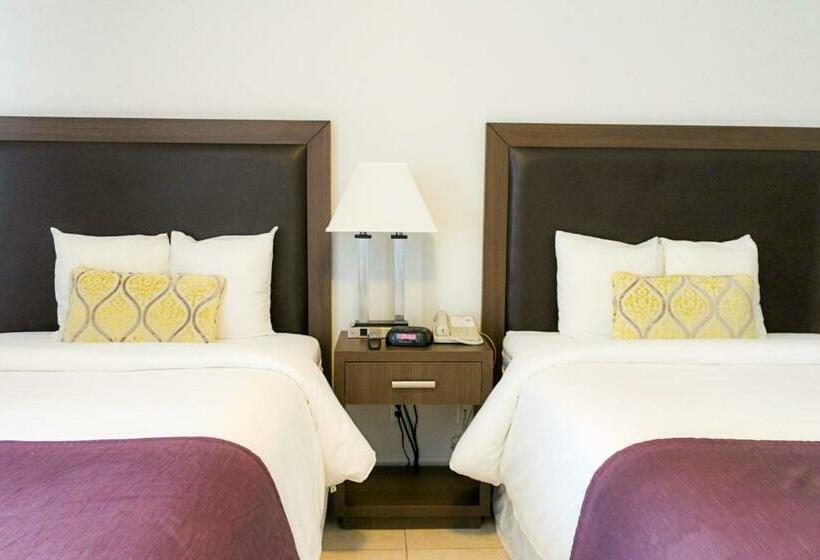 带2个双人床的标准工作室, Collins