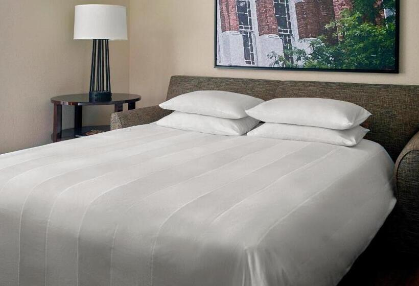 Suite met Uitzicht op de Stad, Augusta Marriott At The Convention Center
