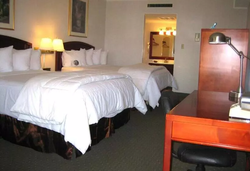 اتاق استاندارد, Days Inn By Wyndham San Diego/downtown/convention Center