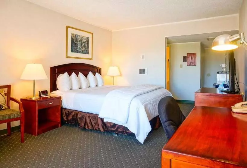 اتاق استاندارد با تخت بزرگ, Days Inn By Wyndham San Diego/downtown/convention Center