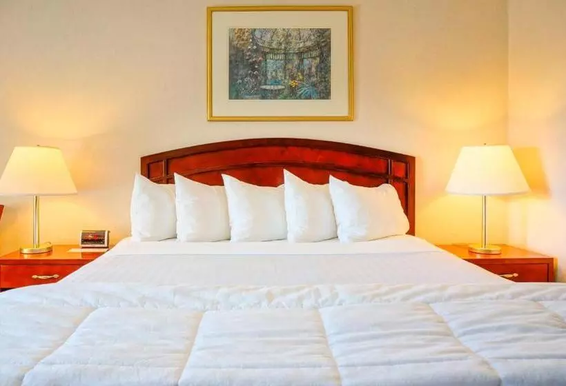 اتاق استاندارد با تخت بزرگ, Days Inn By Wyndham San Diego/downtown/convention Center