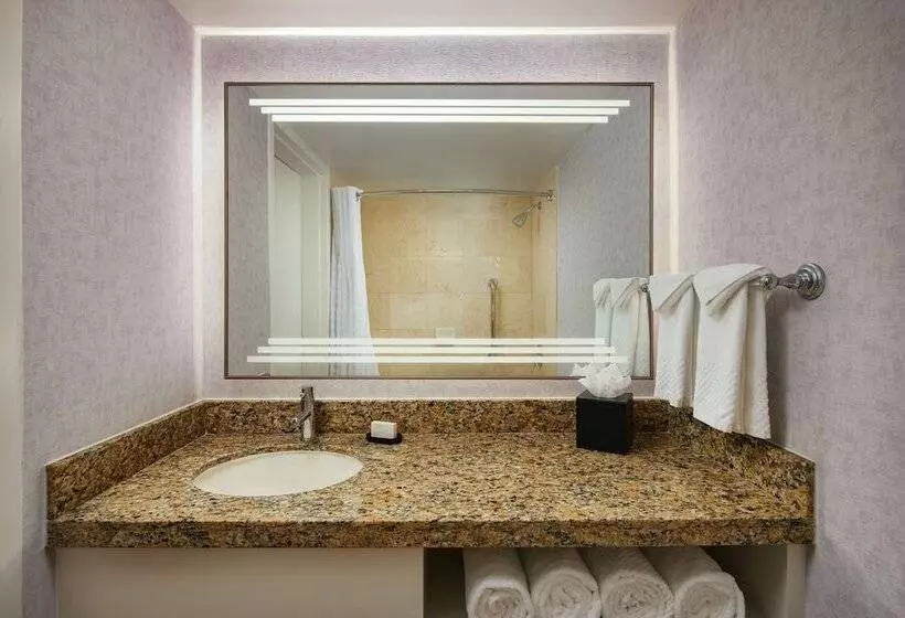 Sviitti, Embassy Suites By Hilton West Palm Beach Central