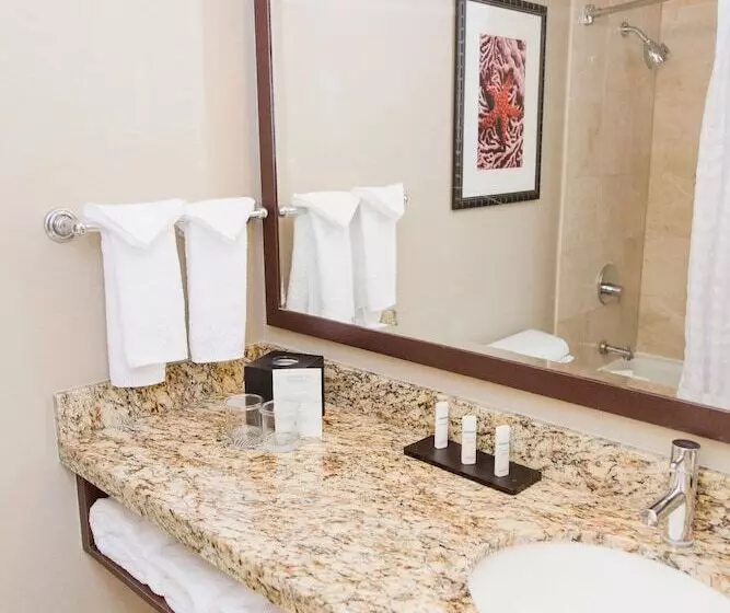 Sviitti, Embassy Suites By Hilton West Palm Beach Central