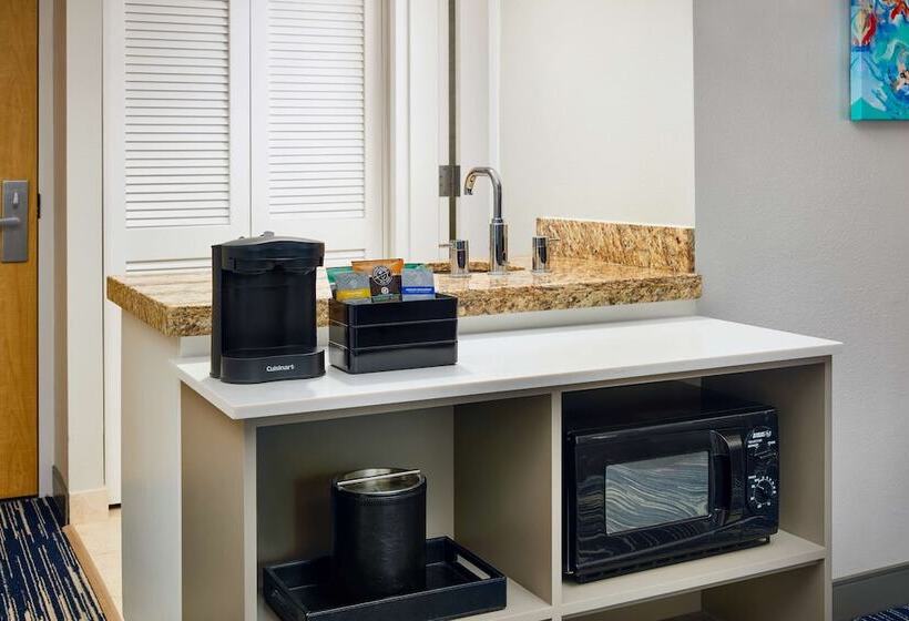 جناح لذوى الاحتياجات الخاصة, Embassy Suites By Hilton West Palm Beach Central