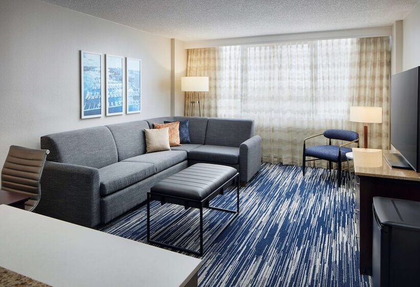 جناح لذوى الاحتياجات الخاصة, Embassy Suites By Hilton West Palm Beach Central