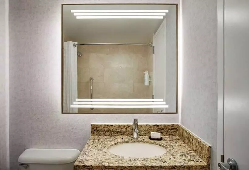 Sviitti, Embassy Suites By Hilton West Palm Beach Central