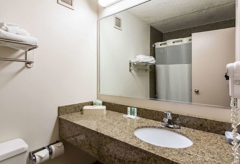 غرفه قياسيه سريرين مزدوجين, Plaza Inn & Suites