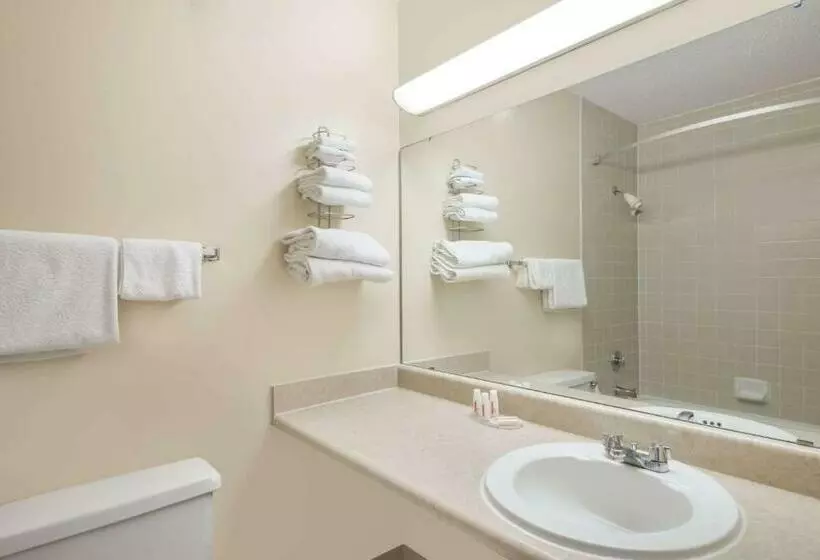 اتاق استاندارد با تخت بزرگ, Ramada By Wyndham Watertown Thousand