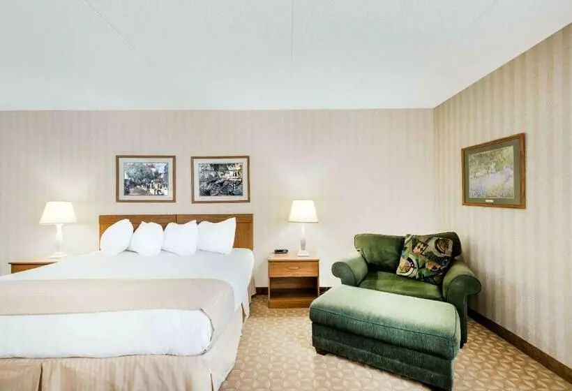 استودیو استاندارد با تخت کینگ, Ramada By Wyndham Watertown Thousand