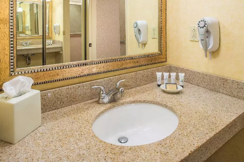 اتاق استاندارد با تخت بزرگ برای معلولان, Red Lion Hotel Pasco Airport & Conference Center