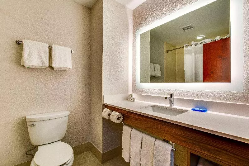 اتاق استاندارد برای معلولان, Red Lion Hotel Pasco Airport & Conference Center