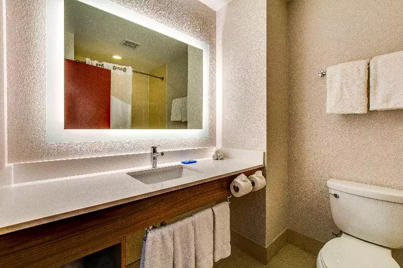اتاق استاندارد برای معلولان, Red Lion Hotel Pasco Airport & Conference Center