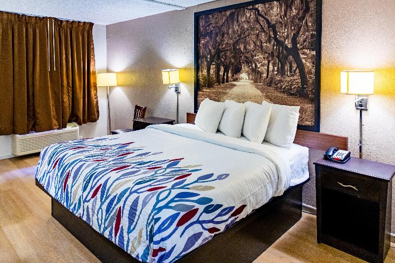 غرفة سوبيريور سرير كينج, Red Roof Inn Savannah   Richmond Hill I 95
