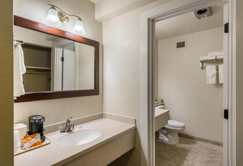 Стандартный Номер Кровать Кинг, Rodeway Inn & Suites Portland   Jantzen Beach