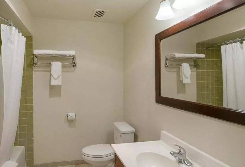 キングサイズベッドのスタンダードルーム, Rodeway Inn & Suites Portland   Jantzen Beach