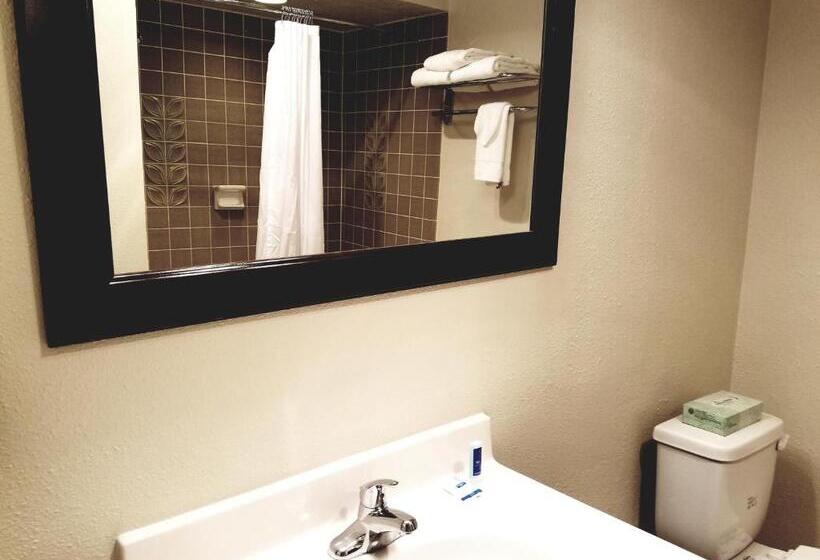 스탠다드 룸 킹사이즈 침대, Rodeway Inn & Suites Portland   Jantzen Beach