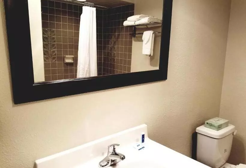 キングサイズベッドのスタンダードルーム, Rodeway Inn & Suites Portland   Jantzen Beach