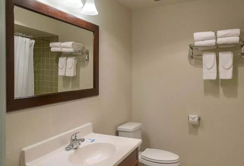 キングサイズベッドのスタンダードルーム, Rodeway Inn & Suites Portland   Jantzen Beach