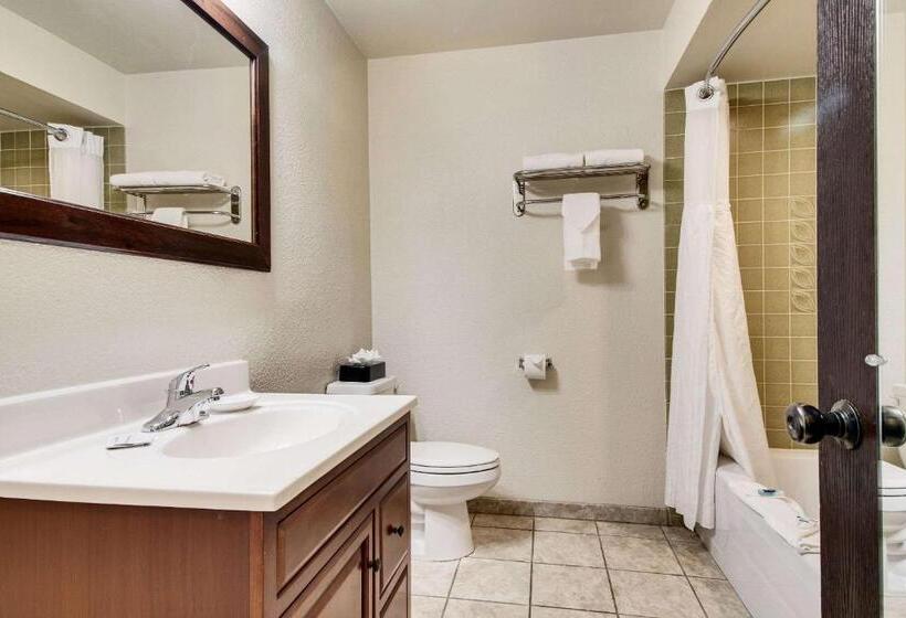스탠다드 룸 킹사이즈 침대, Rodeway Inn & Suites Portland   Jantzen Beach