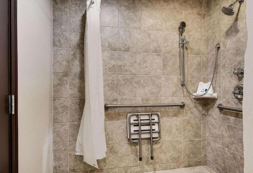장애인을 위한 스탠다드 룸, Rodeway Inn & Suites Portland   Jantzen Beach