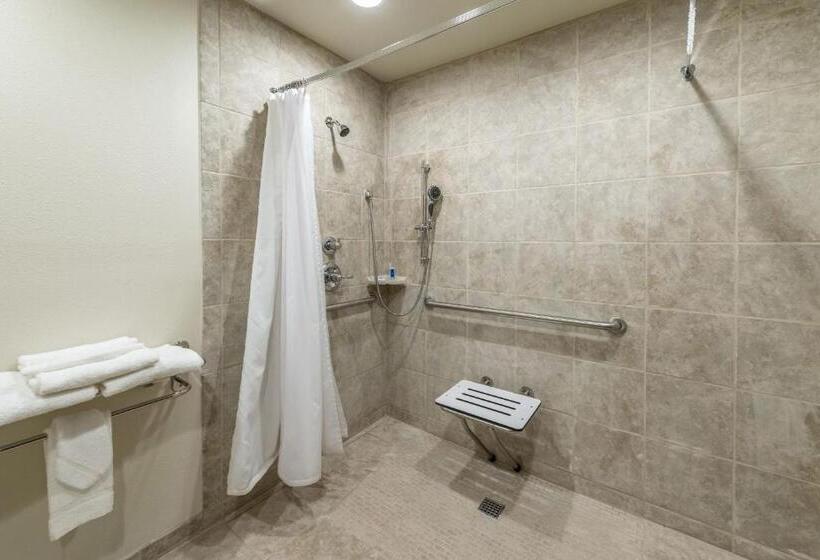 장애인을 위한 스탠다드 룸, Rodeway Inn & Suites Portland   Jantzen Beach