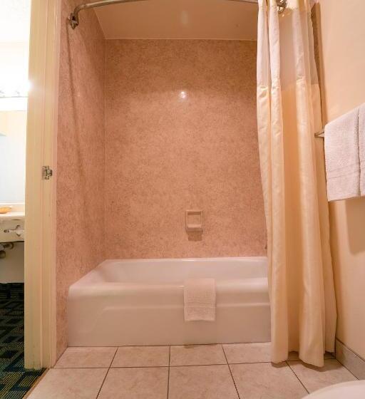 غرفة قياسية سرير كينج, Royal Plaza Inn