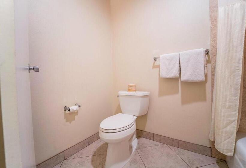 Quarto Estandar 2 Camas Casal, Royal Plaza Inn