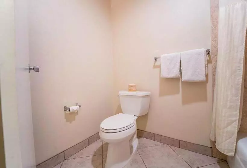 اتاق استاندارد با 2 تخت دوبل, Royal Plaza Inn