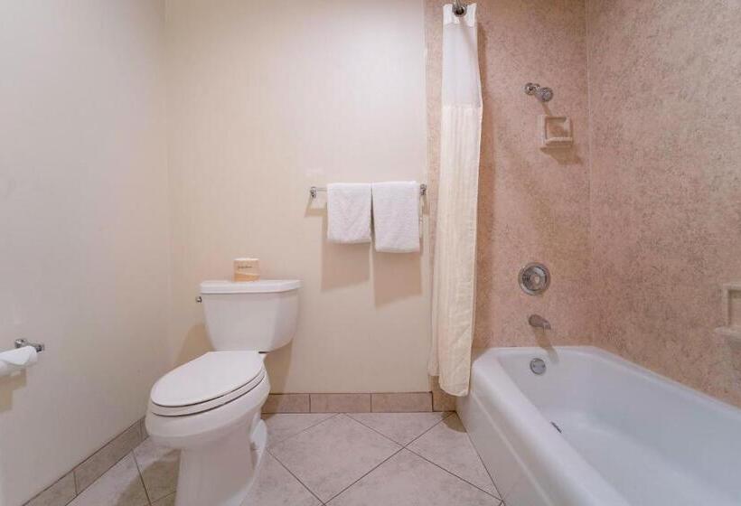 غرفه قياسيه سريرين مزدوجين, Royal Plaza Inn