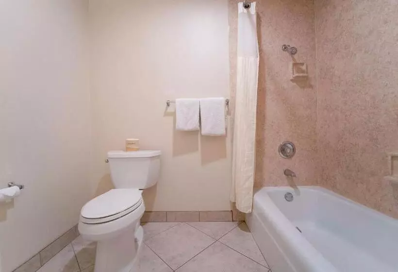 اتاق استاندارد با 2 تخت دوبل, Royal Plaza Inn