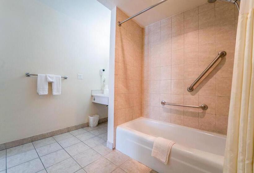 غرفة قياسية سرير كينج لذوى الإحتياجات الخاصة, Royal Plaza Inn