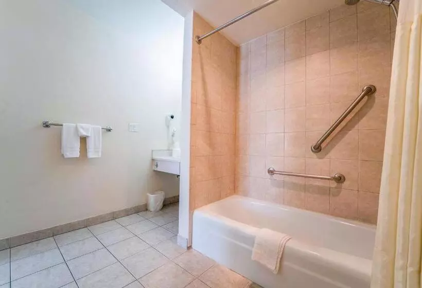 اتاق استاندارد با تخت بزرگ برای معلولان, Royal Plaza Inn