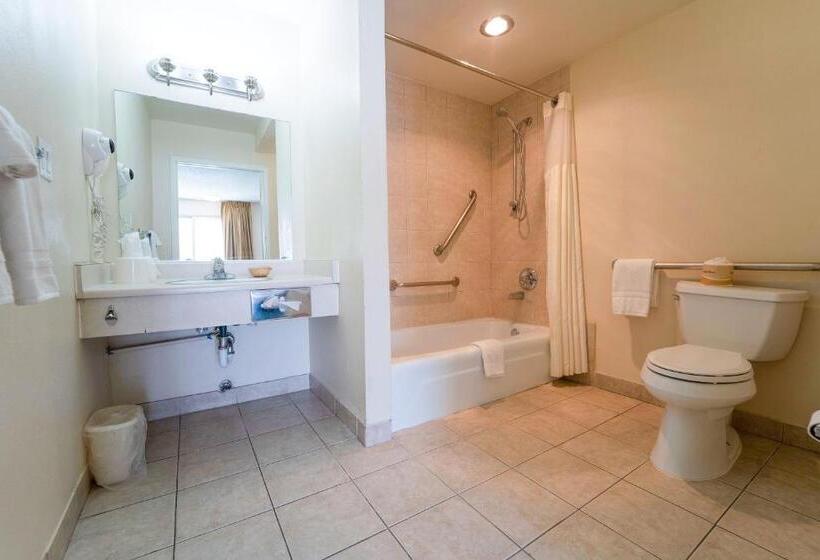 غرفة قياسية سرير كينج لذوى الإحتياجات الخاصة, Royal Plaza Inn