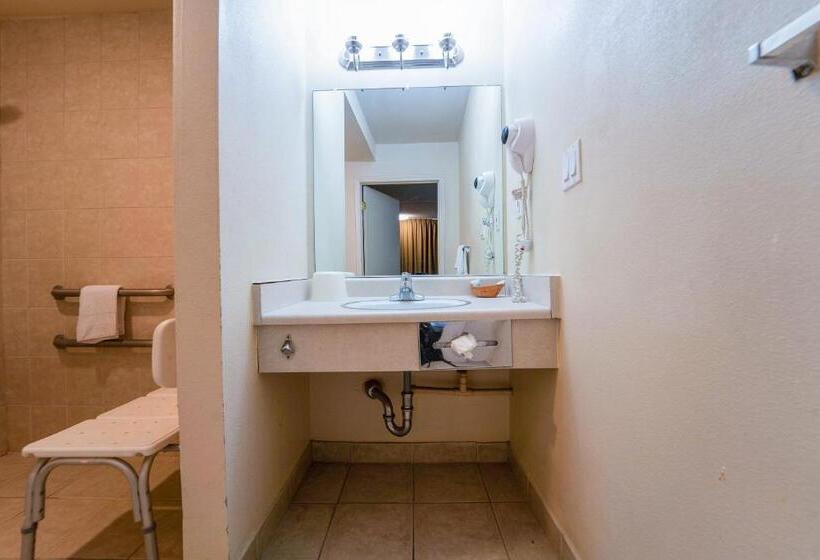 غرفة قياسية لذوى الاحتياجات الخاصة, Royal Plaza Inn