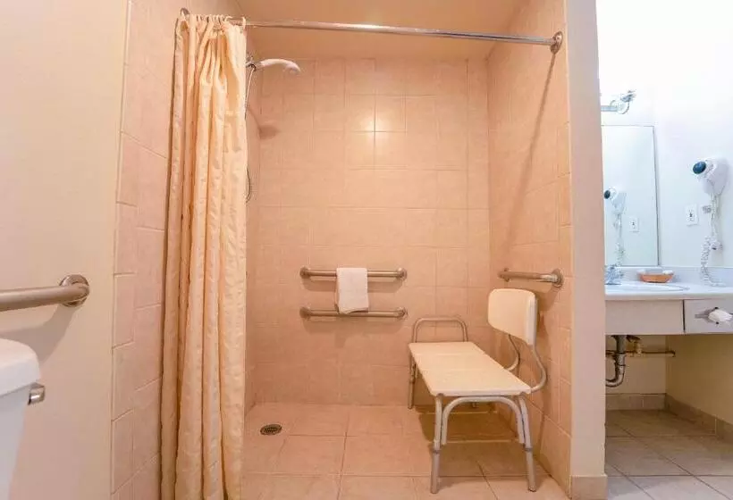 اتاق استاندارد برای معلولان, Royal Plaza Inn