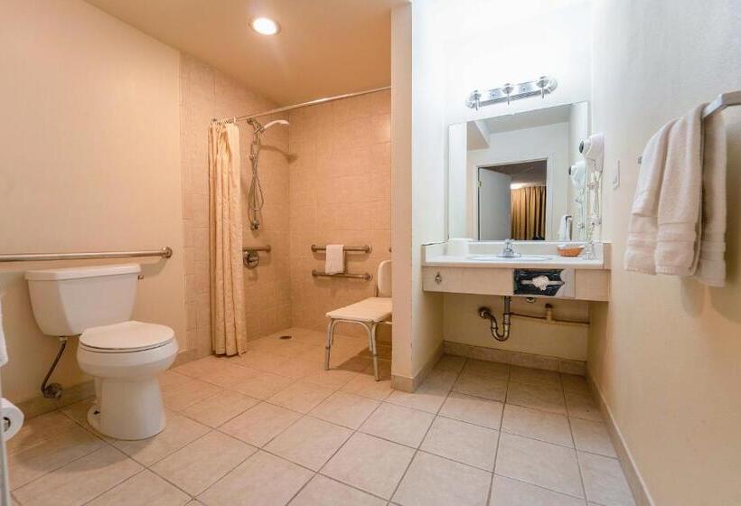 غرفة قياسية لذوى الاحتياجات الخاصة, Royal Plaza Inn