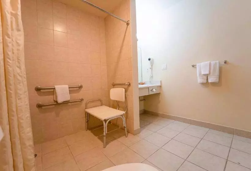 اتاق استاندارد با تخت دو نفره بزرگ, Royal Plaza Inn