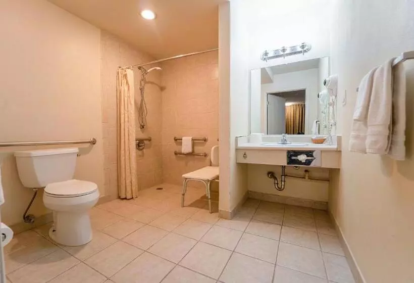 اتاق استاندارد با تخت دو نفره بزرگ, Royal Plaza Inn