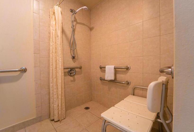 غرفة قياسية سرير ملكى, Royal Plaza Inn