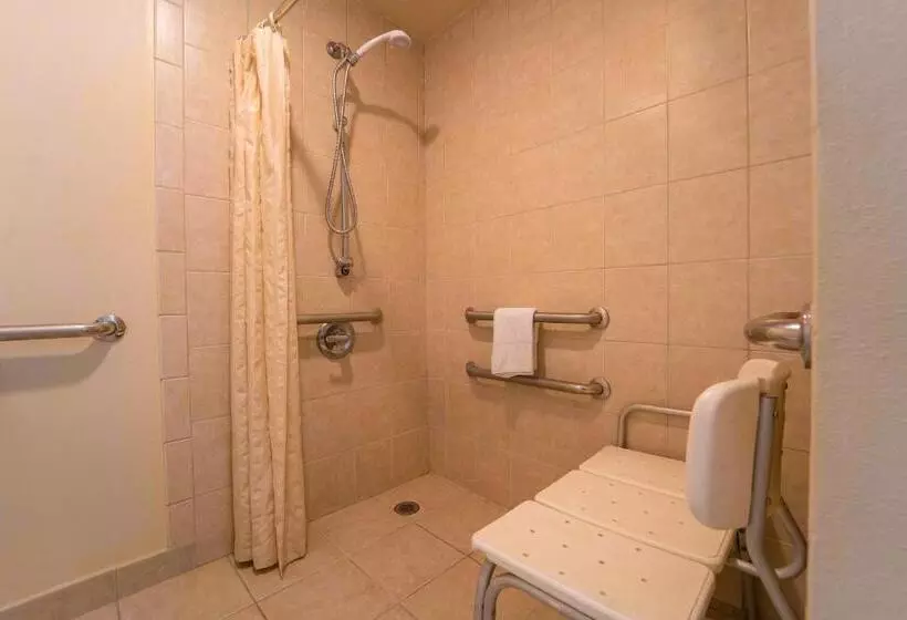 اتاق استاندارد با تخت دو نفره بزرگ, Royal Plaza Inn