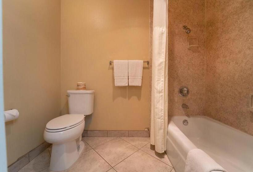 غرفة ديلوكس سرير كينج, Royal Plaza Inn